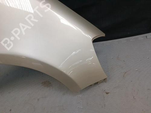 Right front fenders RENAULT CLIO III (BR0/1, CR0/1) 1.5 dCi (BR17, CR17) | BP21325979C42 