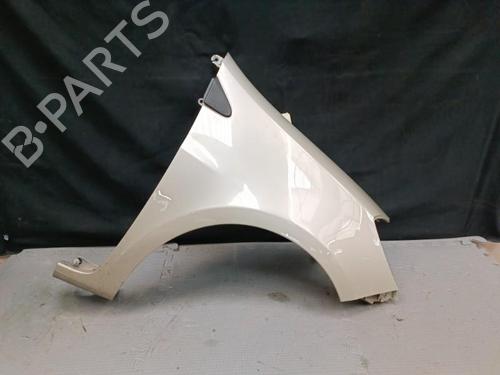 Right front fenders RENAULT CLIO III (BR0/1, CR0/1) 1.5 dCi (BR17, CR17) | BP21325979C42 