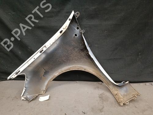 Right front fenders RENAULT CLIO III (BR0/1, CR0/1) 1.5 dCi (C/BR0G, C/BR1G) | BP21324535C42