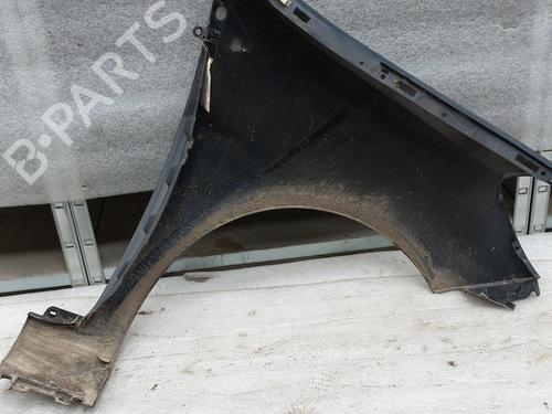 Left front fenders RENAULT CLIO III (BR0/1, CR0/1) 1.5 dCi (C/BR0G, C/BR1G) | BP23434727C41 
