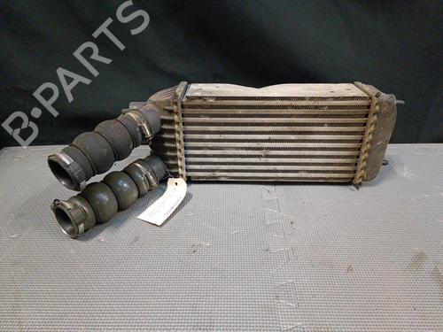 Used Intercooler Intercooler CITROËN JUMPY II Van 1.6 HDi 90 16V (90 hp) 22130585 22130585