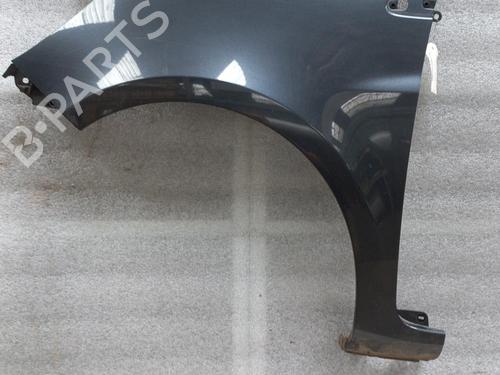 Left front fenders RENAULT CLIO III (BR0/1, CR0/1) 1.5 dCi (C/BR0G, C/BR1G) | BP23434727C41 