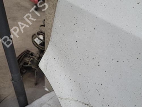 Left front door RENAULT MASTER II Van (FD) 2.5 dCi | BP22129657C2 