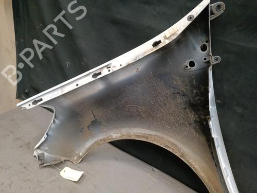 Right front fenders RENAULT CLIO III (BR0/1, CR0/1) 1.5 dCi (C/BR0G, C/BR1G) | BP21324535C42