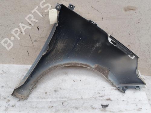 Left front fenders RENAULT SCÉNIC III (JZ0/1_) 1.9 dCi (JZ0J, JZ1J, JZ1K, JZ1S) | BP22129919C41 
