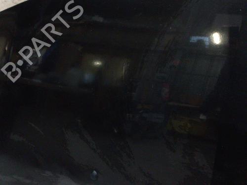 Hood RENAULT CLIO III (BR0/1, CR0/1) 1.5 dCi (C/BR0G, C/BR1G) | BP21324254C1 