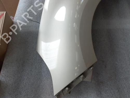Left front fenders RENAULT SCÉNIC III (JZ0/1_) 1.9 dCi (JZ0J, JZ1J, JZ1K, JZ1S) | BP22129919C41 