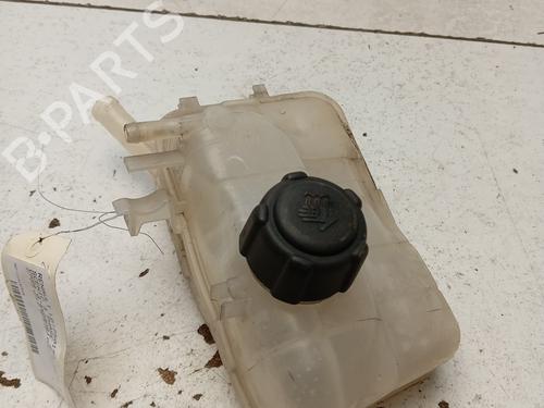 Used Expansion tank RENAULT SCÉNIC III (JZ0/1_) 1.2 TCe (116 hp) 29758953