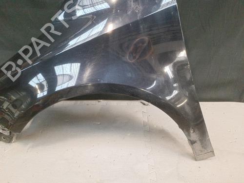 Left front fenders VW GOLF PLUS V (5M1, 521) 1.6 TDI | BP23805342C41 