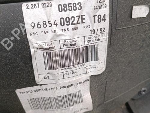 Used Rear left panel Rear left panel PEUGEOT 3008 I MPV (0U_) 1.6 HDi (109 hp) 27637556 27637556