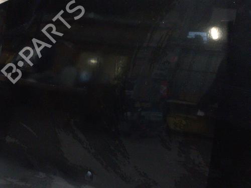 Hood RENAULT CLIO III (BR0/1, CR0/1) 1.5 dCi (C/BR0G, C/BR1G) | BP21324254C1 