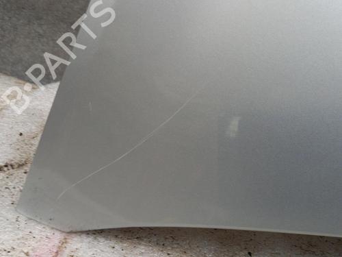 Hood RENAULT CLIO III (BR0/1, CR0/1) 1.5 dCi (C/BR0G, C/BR1G) | BP22654037C1 