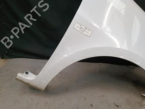 Right front fenders RENAULT CLIO III (BR0/1, CR0/1) 1.5 dCi (C/BR0G, C/BR1G) | BP21324535C42