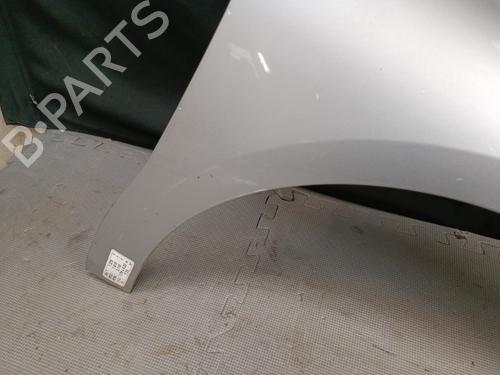 Right front fenders CITROËN C4 II (NC_) 1.6 HDi 110 | BP21324700C42 