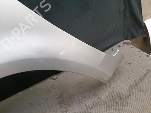 Left front fenders FORD FOCUS C-MAX (DM2) 1.6 TDCi | BP21323539C41 