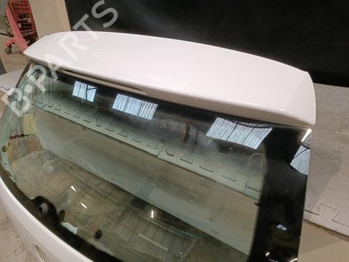 Tailgate VW POLO V (6R1, 6C1) 1.4 TDI | BP22330781C6 