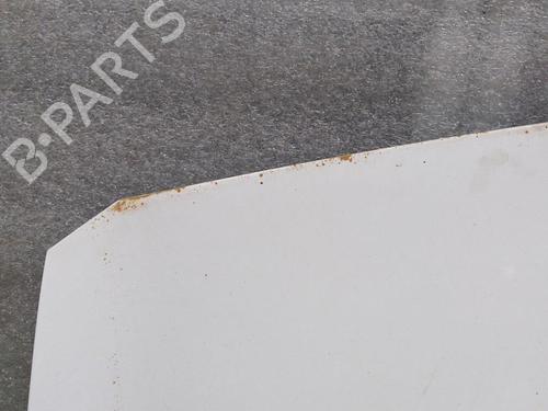Used Hood RENAULT MEGANE II (BM0/1_, CM0/1_) 1.5 dCi (BM0F, BM0T, BM2B, CM0F, CM0T) (82 hp) 21323388