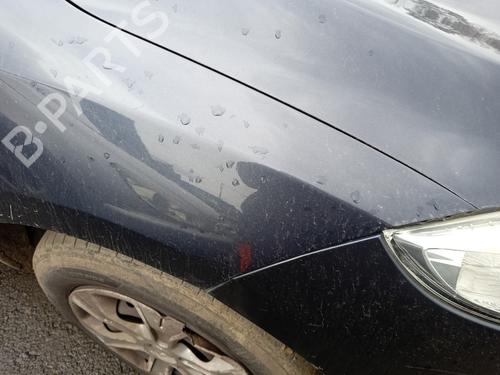 Right front fenders RENAULT MEGANE III Hatchback (BZ0/1_, B3_) 1.5 dCi | BP25002492C42 