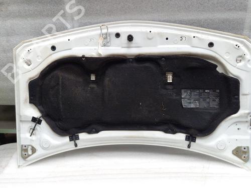 Hood RENAULT MEGANE II (BM0/1_, CM0/1_) 1.5 dCi (BM0F, BM0T, BM2B, CM0F, CM0T) | BP21323388C1 