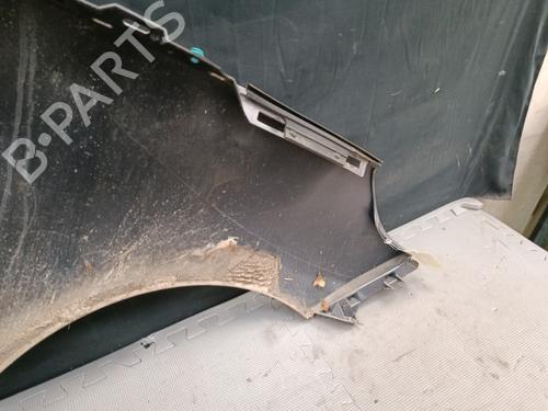 Left front fenders RENAULT SCÉNIC III (JZ0/1_) 1.5 dCi | BP22131114C41 