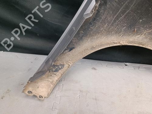Left front fenders RENAULT SCÉNIC III (JZ0/1_) 1.5 dCi | BP22131114C41 