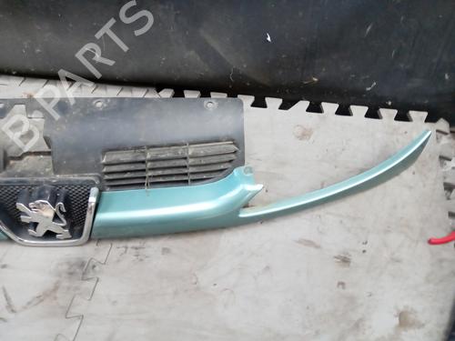 Grille PEUGEOT 206 Hatchback (2A/C) 1.9 D | BP29840618C40