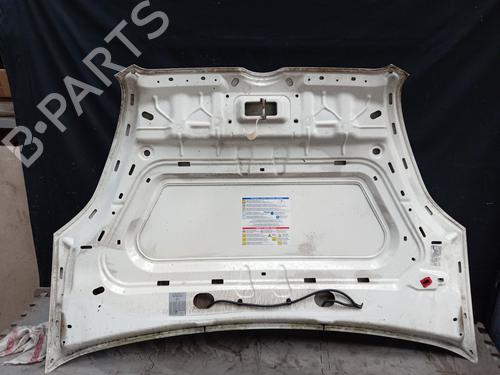 Hood FIAT DOBLO Bus (263_) 1.3 D Multijet (263AXC1A) | BP25002778C1