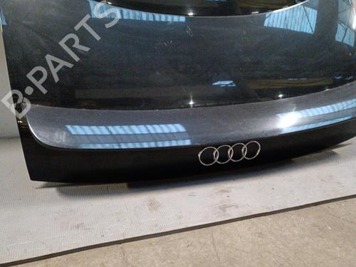 Tailgate AUDI TT (8N3) 1.8 T | BP21325130C6 