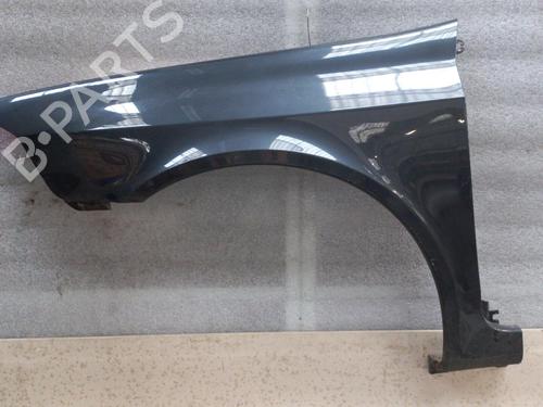 Left front fenders RENAULT LAGUNA II (BG0/1_) 1.9 dCi (BG1A, BG1V) | BP21326473C41 