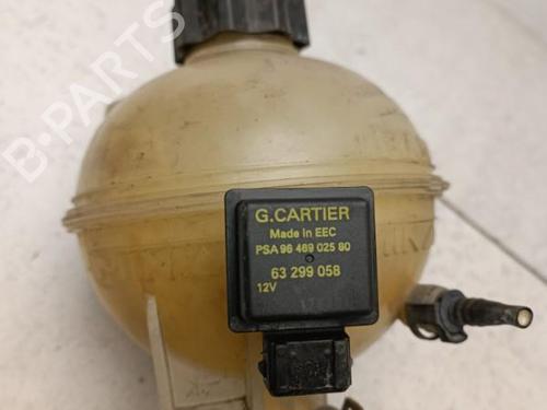 Used Expansion tank PEUGEOT 206 Hatchback (2A/C) 1.4 HDi eco 70 (68 hp) 22130807