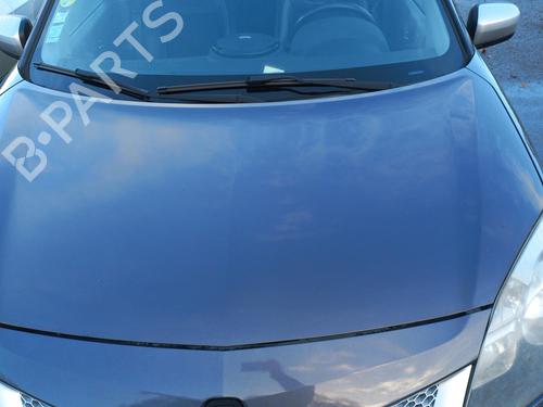 Used Hood RENAULT KOLEOS I (HY_) 2.0 dCi 4x4 (HY0K) (150 hp) 21323202