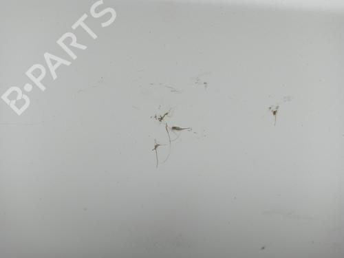 Right rear door NISSAN QASHQAI I (J10, NJ10) 1.5 dCi | BP27663948C5 