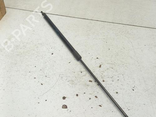 Used Hood lift support RENAULT MEGANE III Grandtour (KZ0/1) 1.5 dCi (KZ0C, KZ1A) (90 hp) 22130323