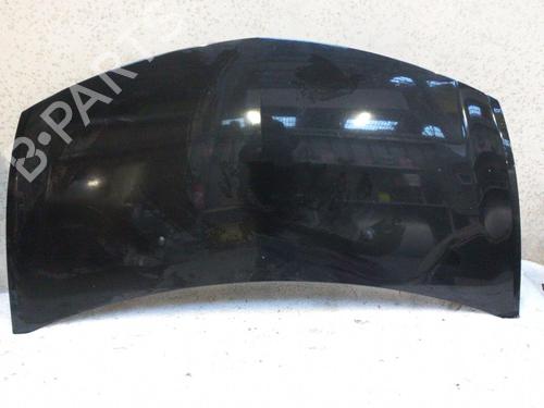 Hood RENAULT CLIO III (BR0/1, CR0/1) 1.5 dCi (C/BR0G, C/BR1G) | BP21324254C1 