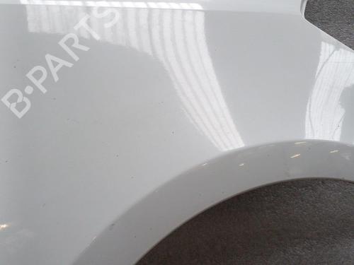 Right front fenders RENAULT CLIO III (BR0/1, CR0/1) 1.5 dCi (C/BR0G, C/BR1G) | BP21326479C42 
