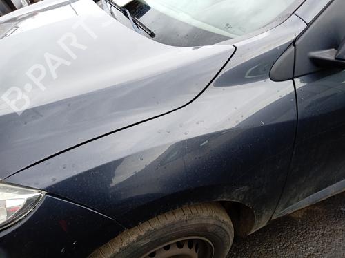 Used Left front fenders RENAULT MEGANE III Hatchback (BZ0/1_, B3_) 1.5 dCi (86 hp) 25002493