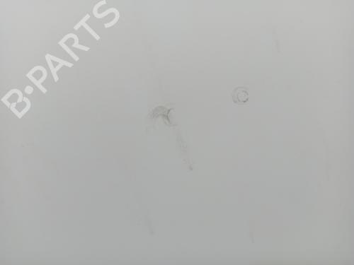 Hood FIAT DOBLO Bus (263_) 1.3 D Multijet (263AXC1A) | BP25002778C1