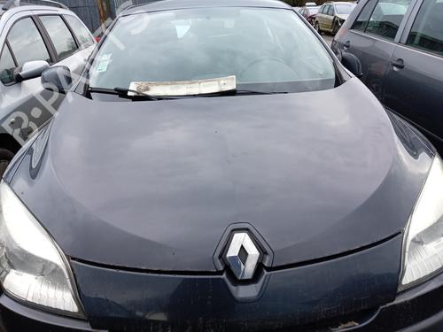 Used Hood RENAULT MEGANE III Hatchback (BZ0/1_, B3_) 1.5 dCi (86 hp) 25002494