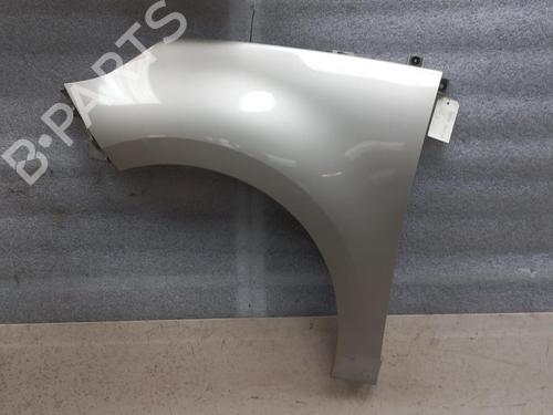Left front fenders RENAULT SCÉNIC III (JZ0/1_) 1.9 dCi (JZ0J, JZ1J, JZ1K, JZ1S) | BP22129919C41 