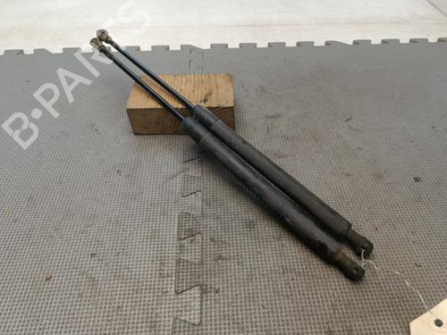 Used Tailgate lift support CITROËN C3 II (SC_) 1.6 HDi 90 (90 hp) 21325665