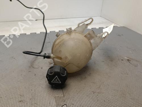 Used Expansion tank PEUGEOT 207 (WA_, WC_) 1.4 HDi (68 hp) 21325751