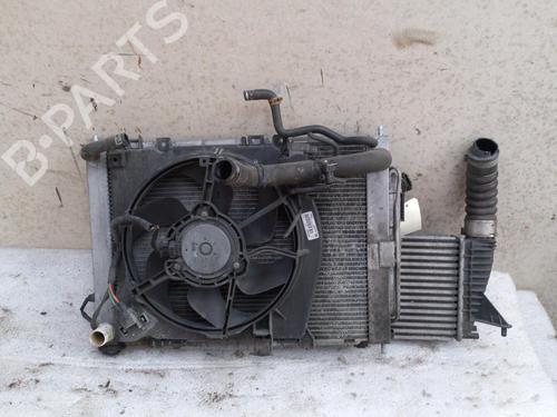 Used Heater matrix RENAULT CLIO III (BR0/1, CR0/1) 1.5 dCi (75 hp) 22129729