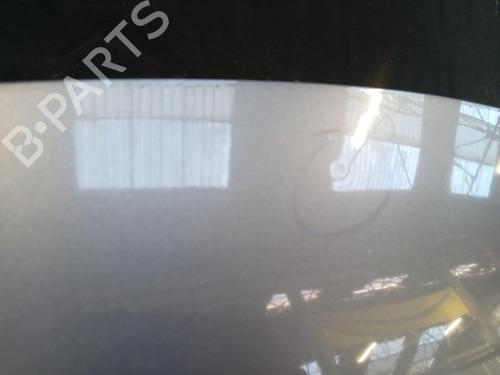 Hood CITROËN C3 II (SC_) 1.4 HDi 70 (SC8HZC, SC8HR0, SC8HP4) | BP29422569C1 