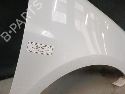 Right front fenders RENAULT CLIO III (BR0/1, CR0/1) 1.5 dCi (C/BR0G, C/BR1G) | BP21324535C42