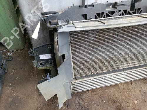 Used Front slam panel Front slam panel RENAULT GRAND SCÉNIC III (JZ0/1_) 1.5 dCi (JZ0B, JZ07) (106 hp) 22131270 22131270