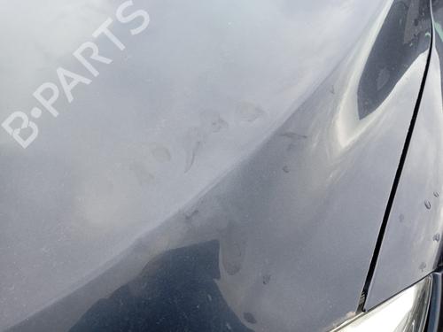 Hood RENAULT MEGANE III Hatchback (BZ0/1_, B3_) 1.5 dCi | BP25002494C1 