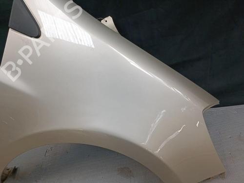 Right front fenders RENAULT CLIO III (BR0/1, CR0/1) 1.5 dCi (BR17, CR17) | BP21325979C42 