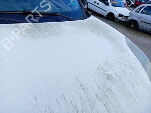 Hood FIAT DOBLO Bus (263_) 1.3 D Multijet (263AXC1A) | BP25002778C1