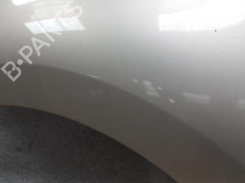 Left front fenders RENAULT SCÉNIC III (JZ0/1_) 1.9 dCi (JZ0J, JZ1J, JZ1K, JZ1S) | BP22129919C41 