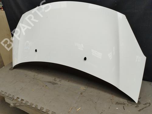 hood-citroen-c3-ii-sc_-2009-26156572 main image